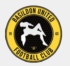 Basildon United Crest